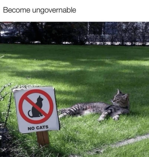 (A cat lying on the grass in front of a “NO CATS” sign)  Become ungovernable